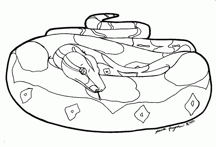 Boa Constrictor coloring #17, Download drawings