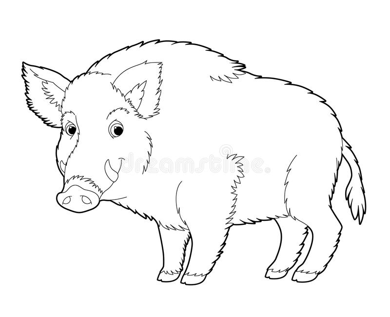 Boar coloring #15, Download drawings