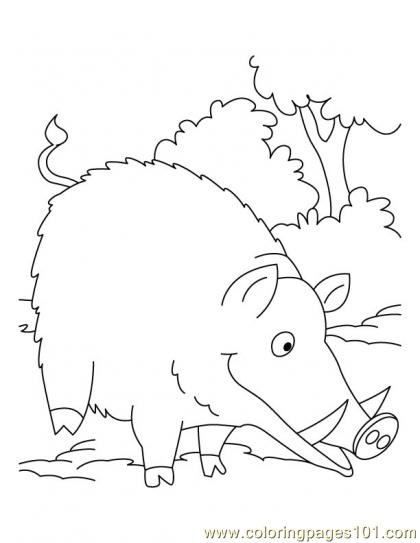 Boar coloring #12, Download drawings
