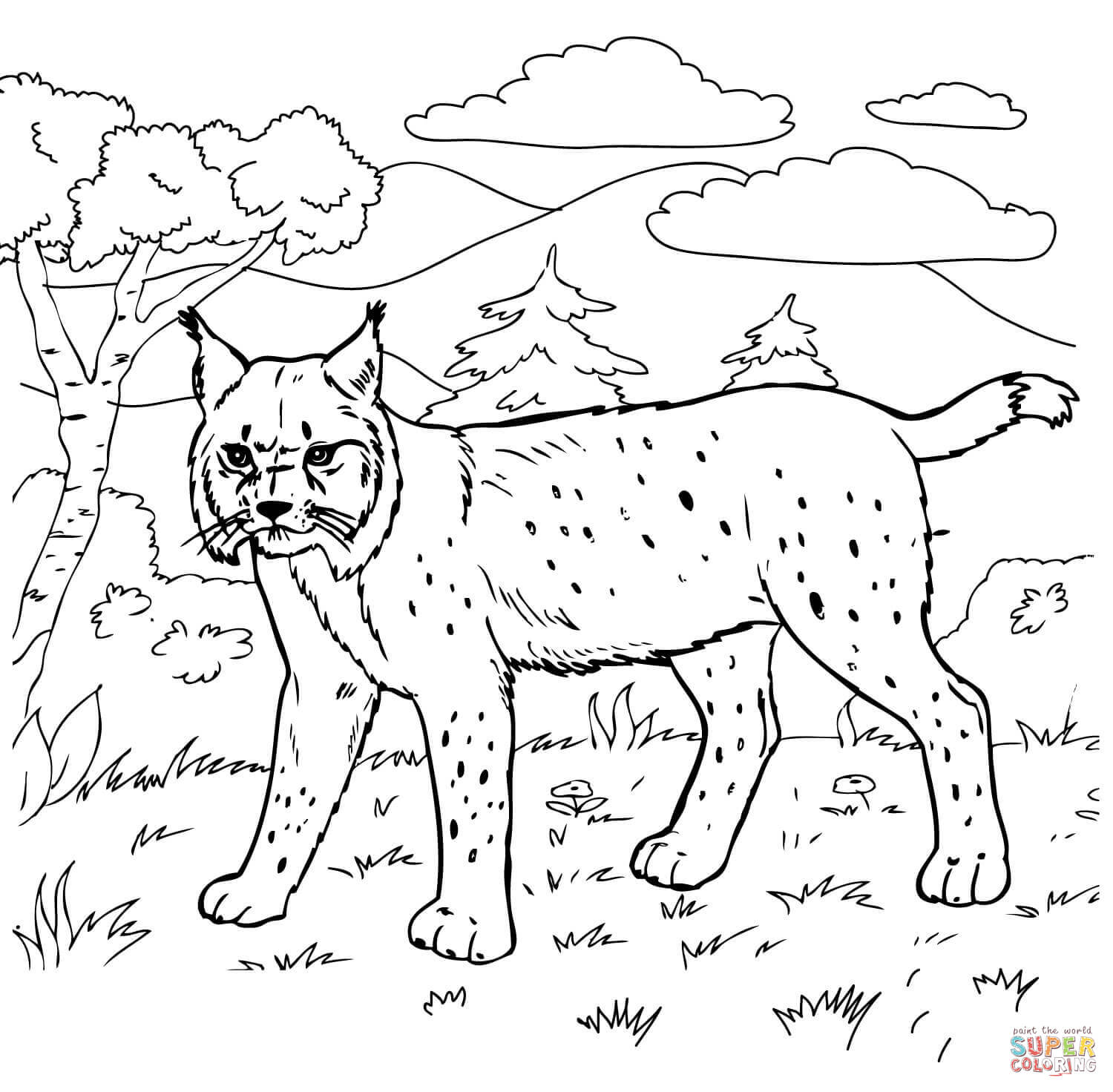 Bobcat coloring #13, Download drawings