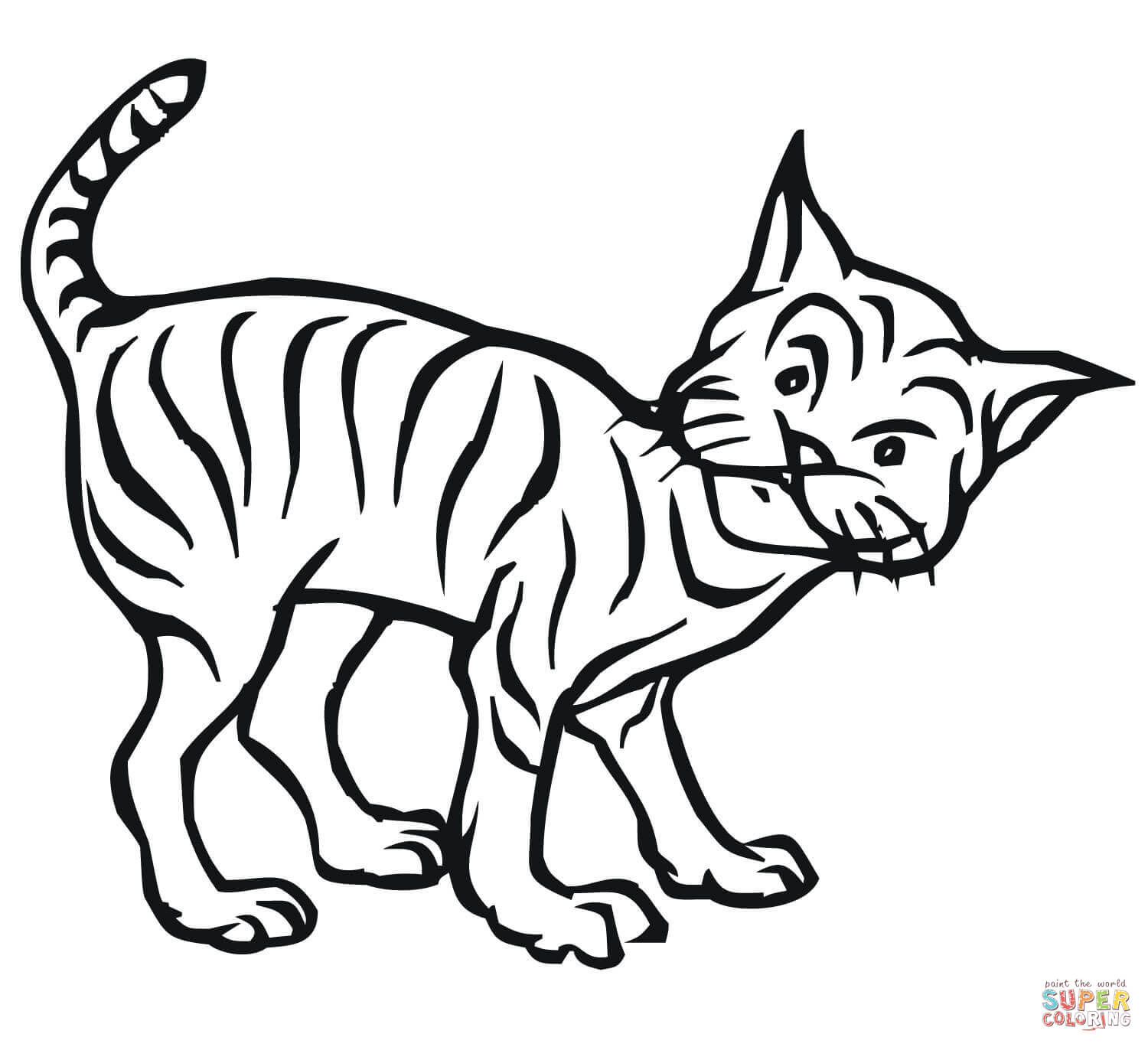 Bobcat coloring #15, Download drawings
