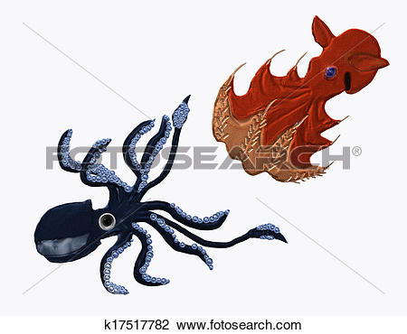 Bobtail Squid clipart #4, Download drawings