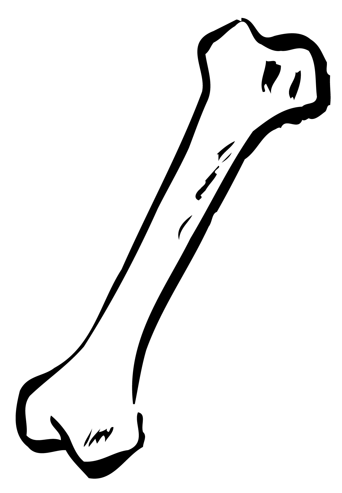 Bones clipart #15, Download drawings
