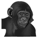 Bonobo clipart #16, Download drawings
