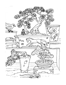Bonsai coloring #5, Download drawings