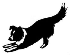 Border Collie clipart #10, Download drawings