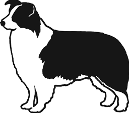 Border Collie clipart #8, Download drawings