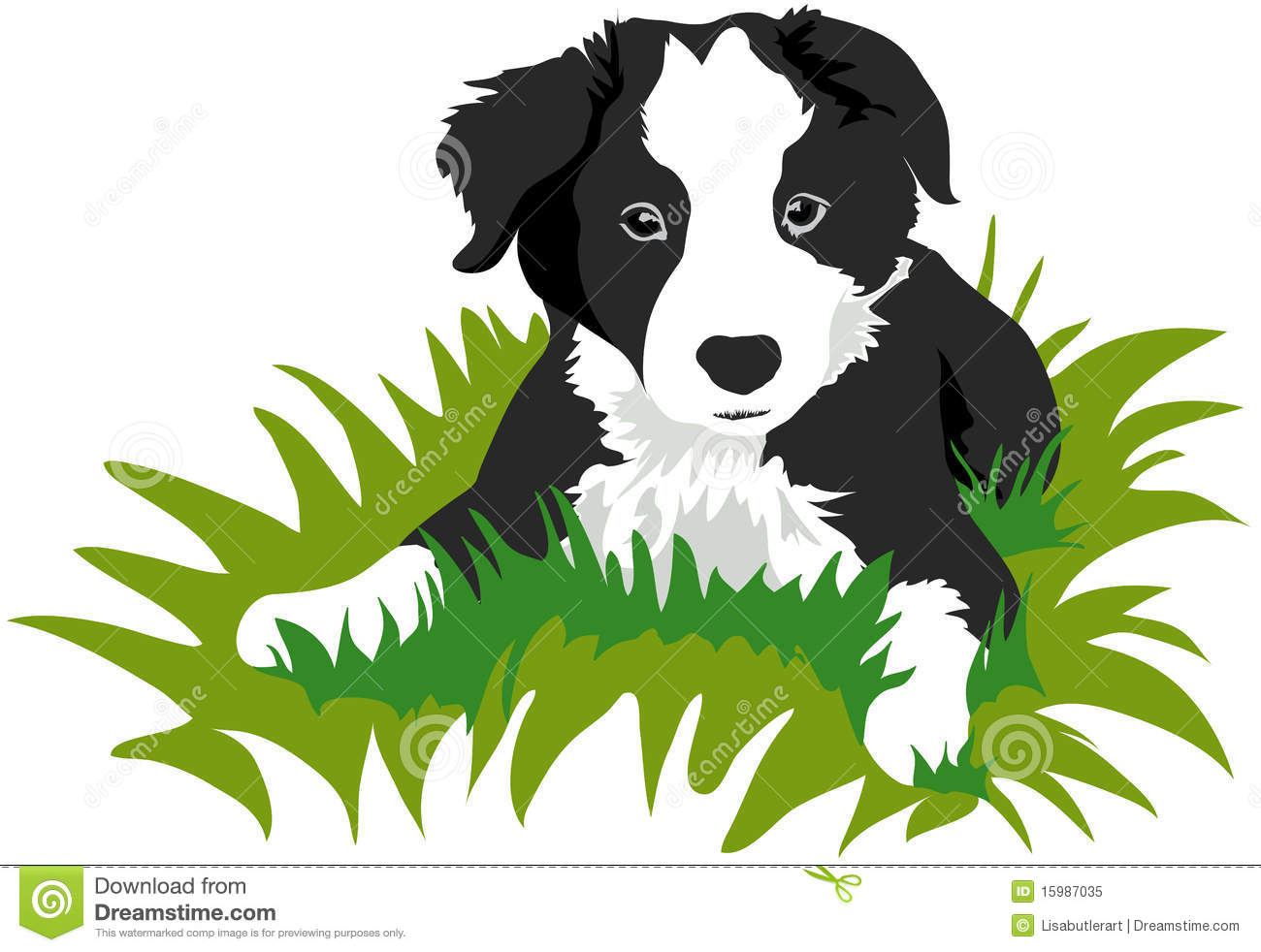Border Collie clipart #11, Download drawings