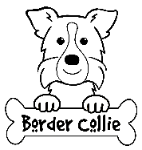 Border Collie coloring #11, Download drawings