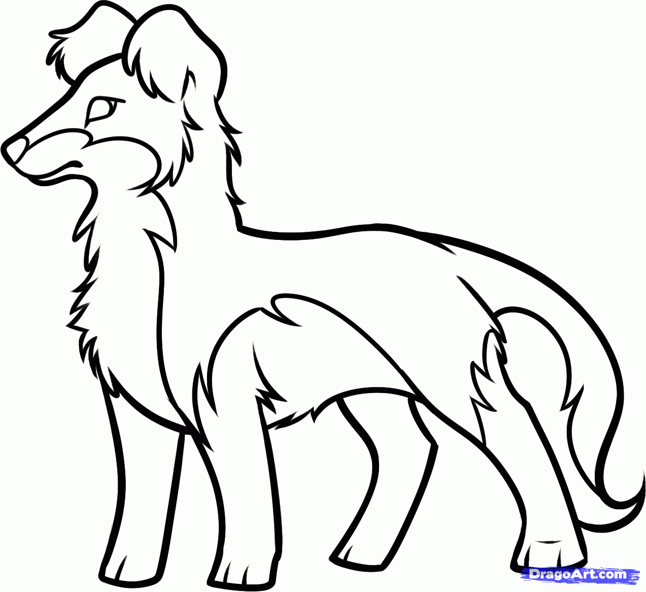 Border Collie coloring #5, Download drawings