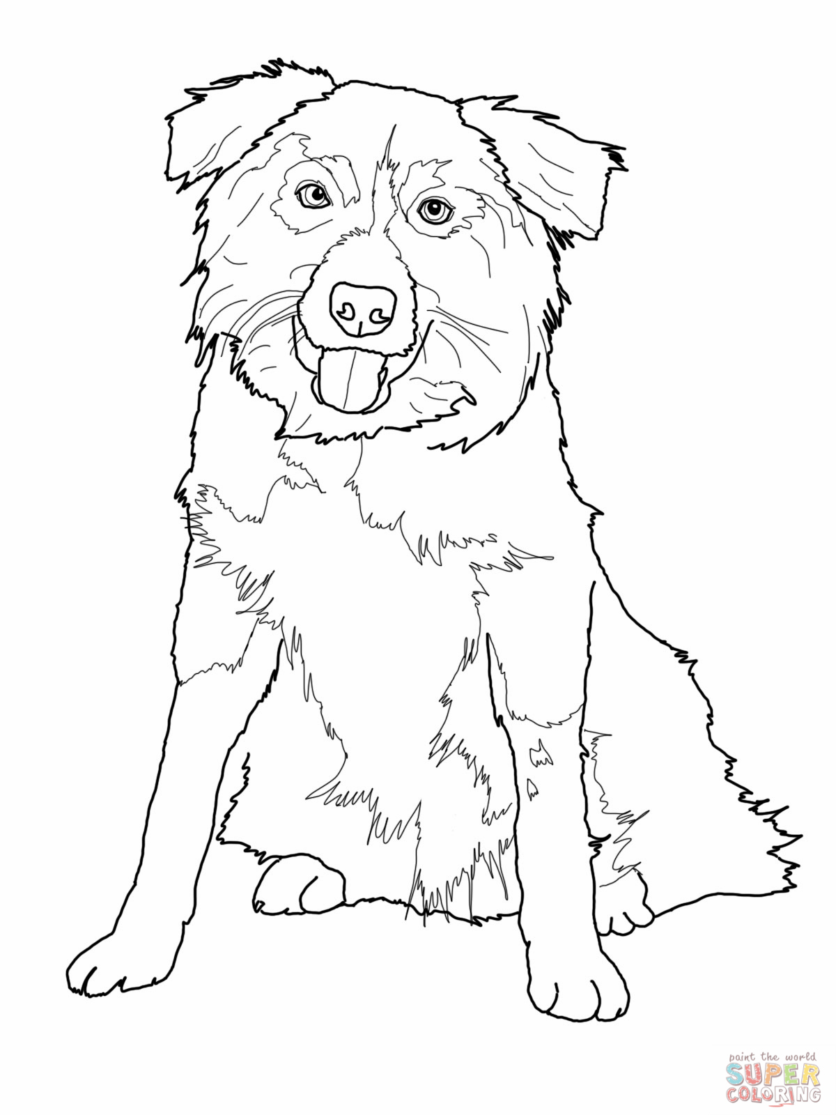 Border Collie coloring #9, Download drawings