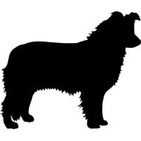 Rough Collie svg #10, Download drawings