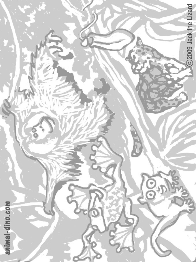 Borneo coloring #17, Download drawings