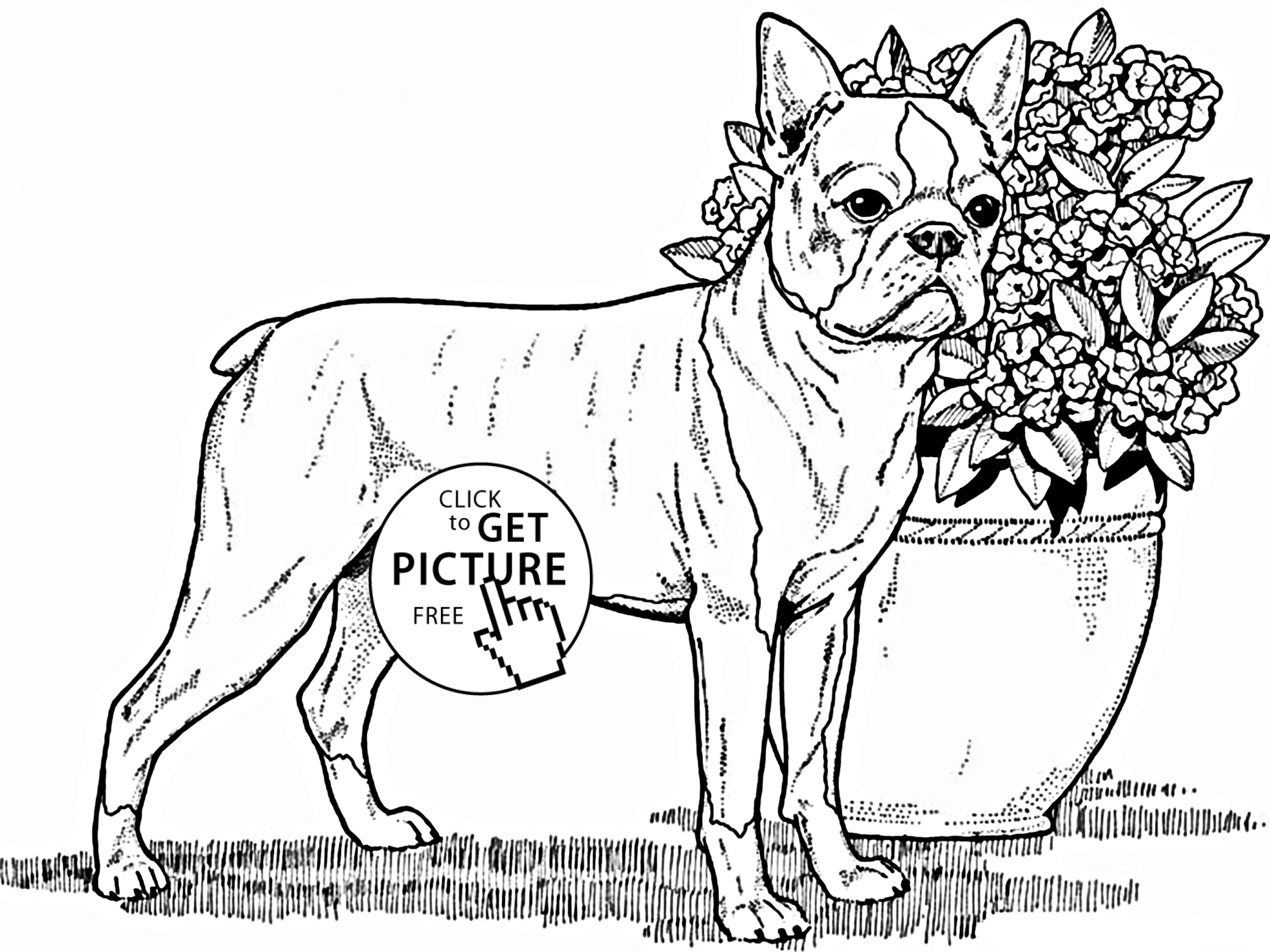 Terrier coloring #2, Download drawings
