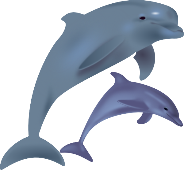 Dolphin clipart #11, Download drawings