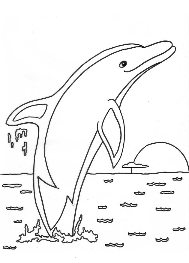 Bottlenose Dolphin coloring #3, Download drawings