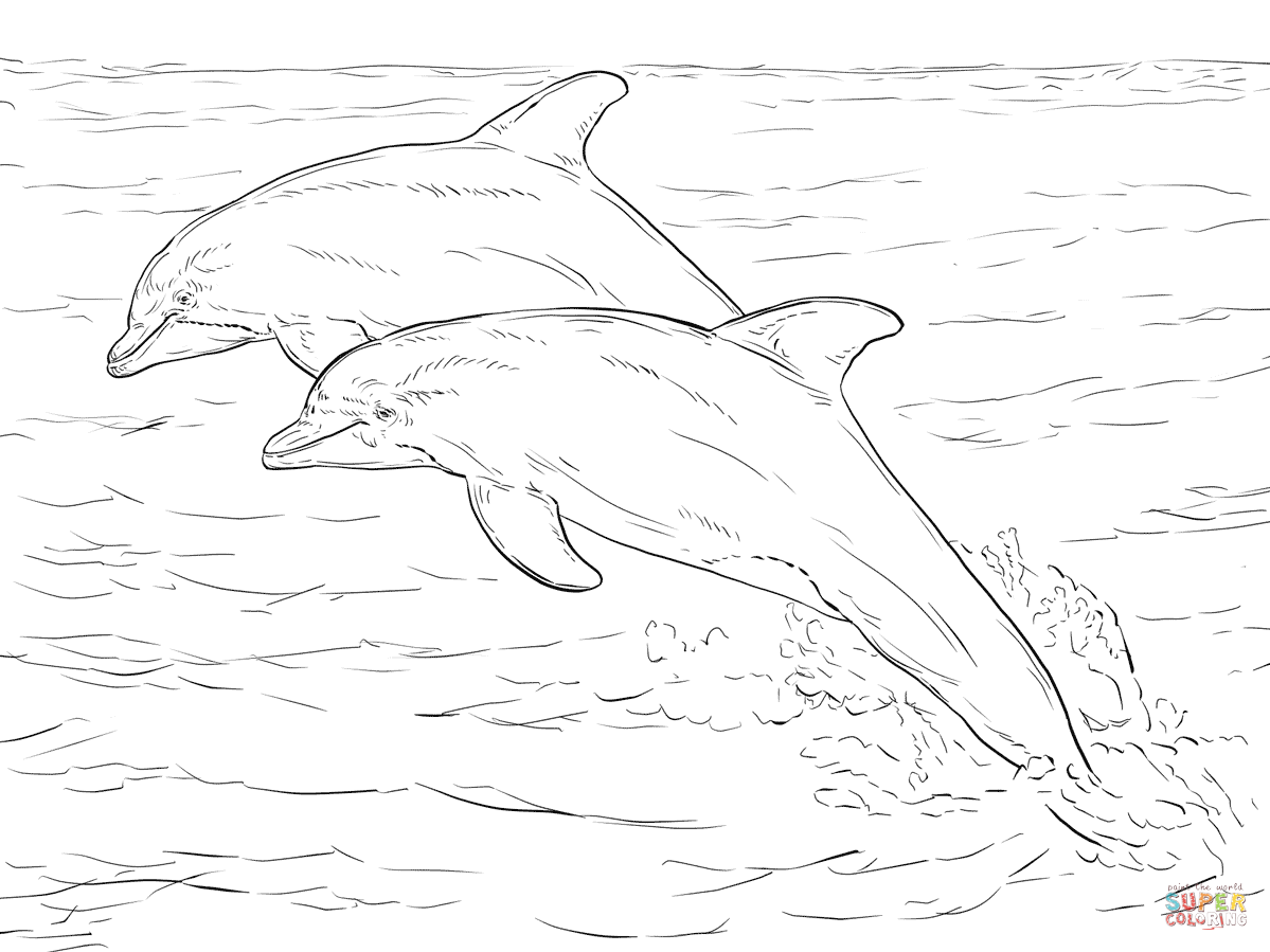 Spinner Dolphin coloring #11, Download drawings