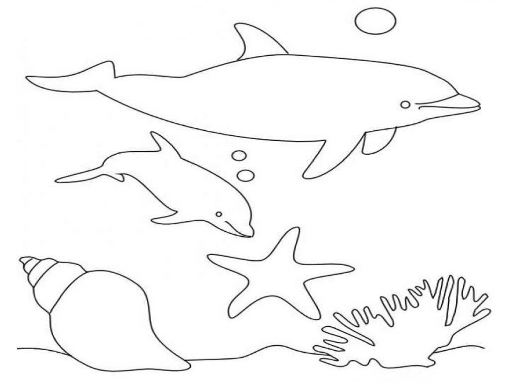 Bottlenose Dolphin coloring #15, Download drawings