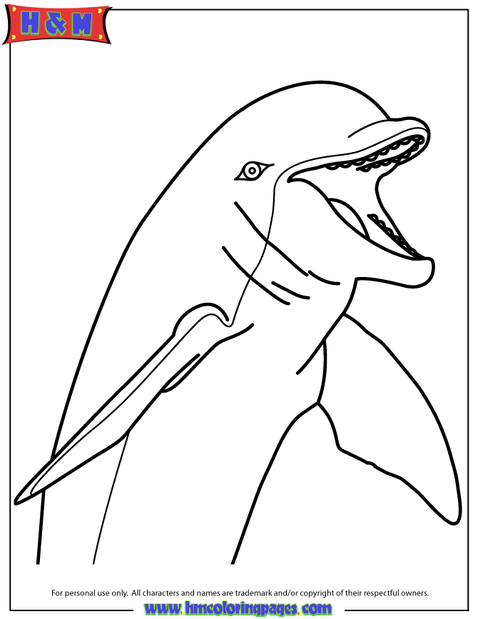 Bottlenose Dolphin coloring #12, Download drawings