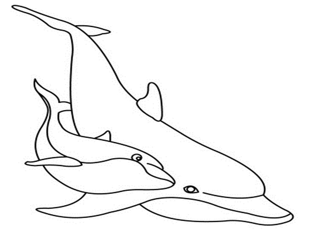 Dolphines coloring #18, Download drawings