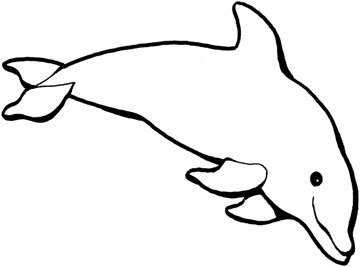 Bottlenose Dolphin coloring #1, Download drawings