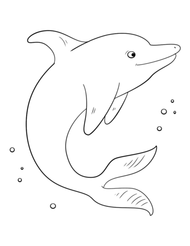 Bottlenose Dolphin coloring #2, Download drawings