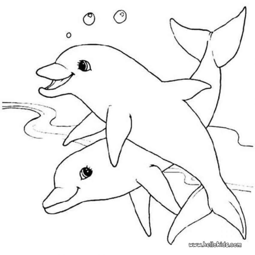 Dolphines coloring #1, Download drawings