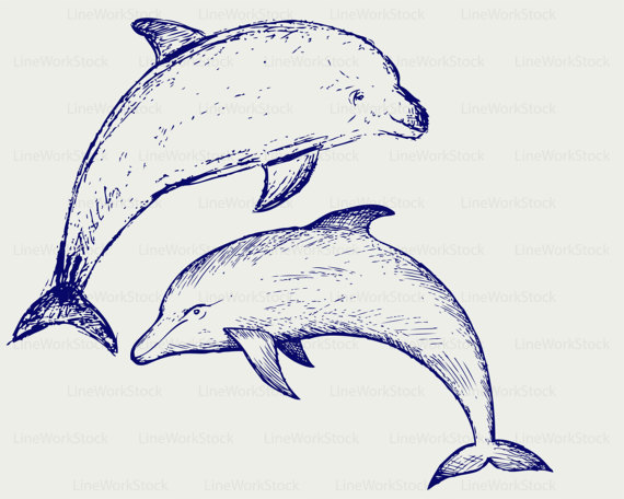 Bottlenose Dolphin svg #7, Download drawings