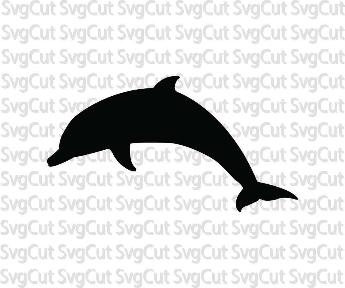 Download Download Bottlenose Dolphin svg for free - Designlooter 2020 👨‍🎨