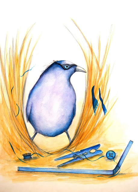 Bowerbird coloring #5, Download drawings