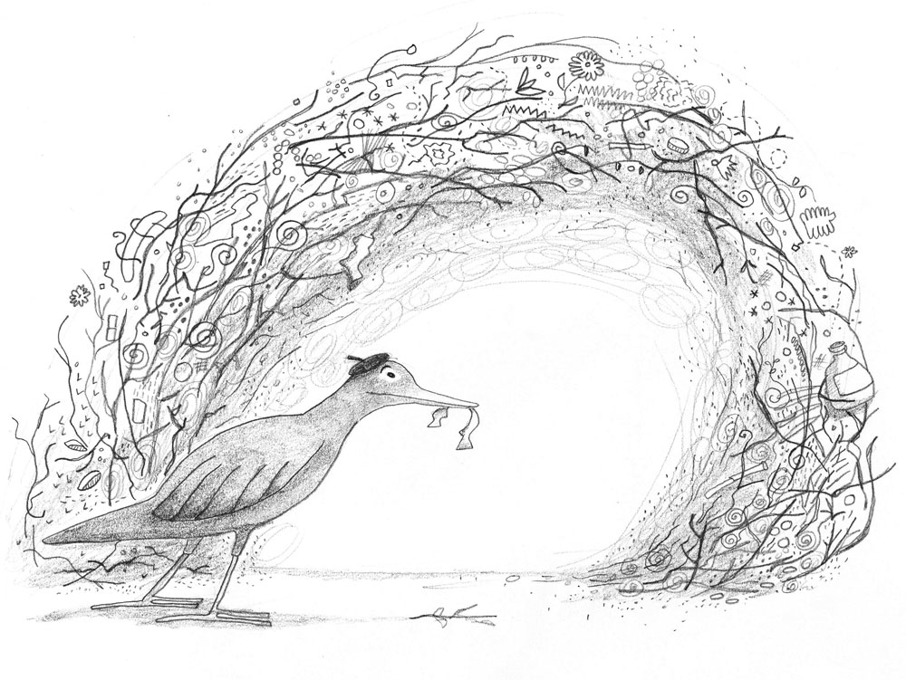 Bowerbird coloring #19, Download drawings