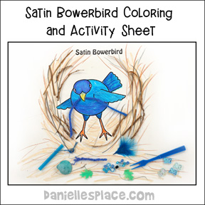 Bowerbird coloring #6, Download drawings