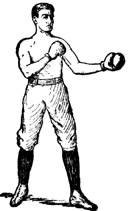 Boxer clipart #8, Download drawings