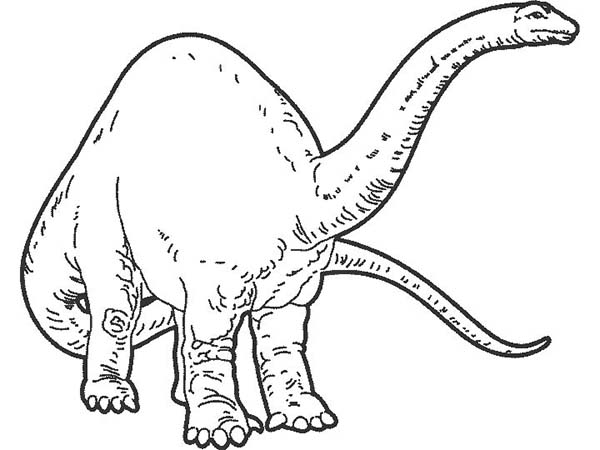Brachiosaurus coloring #16, Download drawings