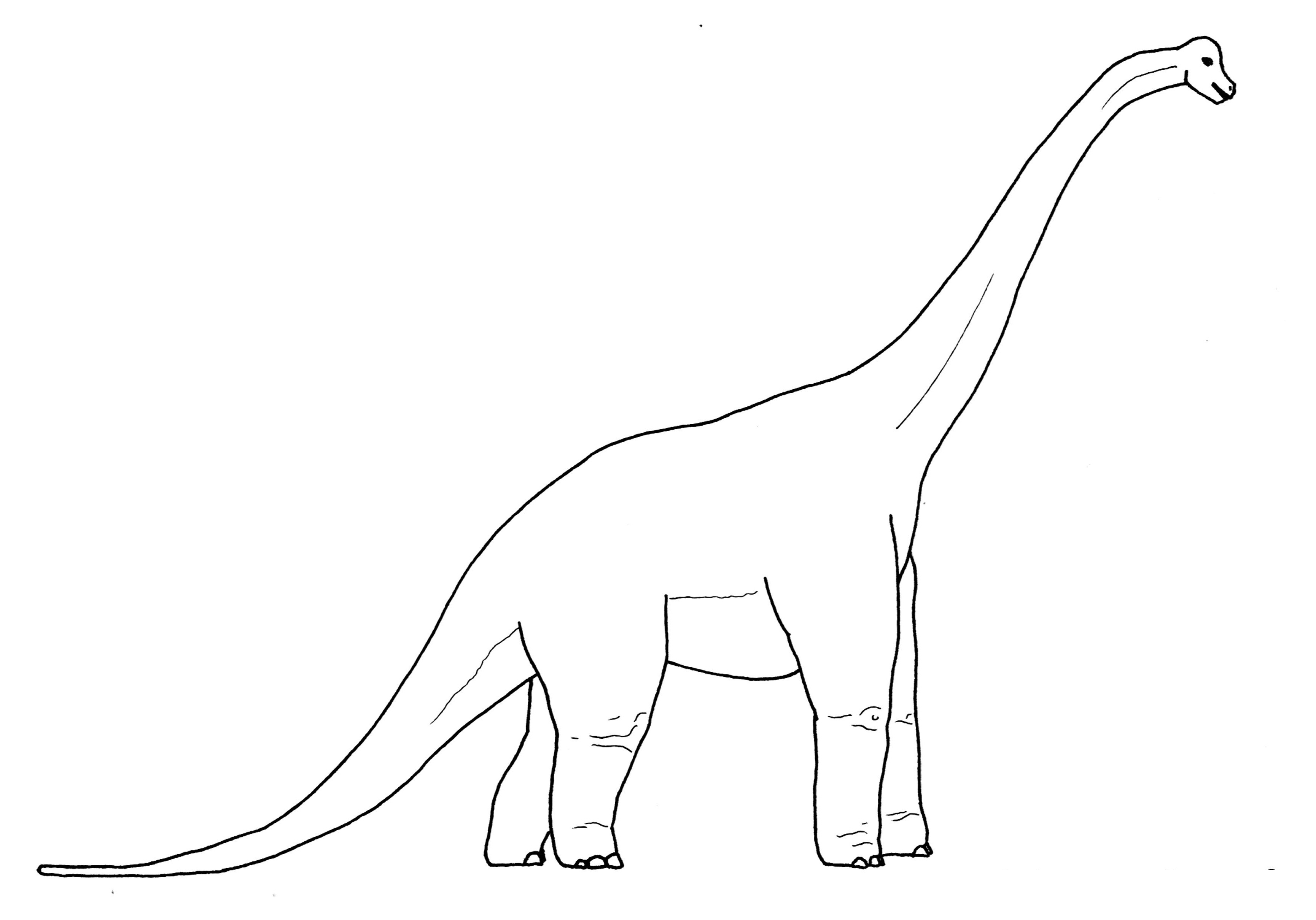 Brachiosaurus coloring #7, Download drawings