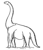 Brachiosaurus coloring #18, Download drawings
