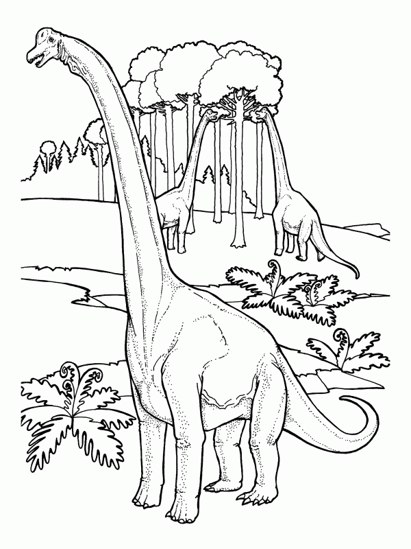 Brachiosaurus coloring #20, Download drawings