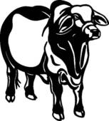 Brahman Bull clipart #18, Download drawings