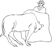 Brahman Bull coloring #7, Download drawings