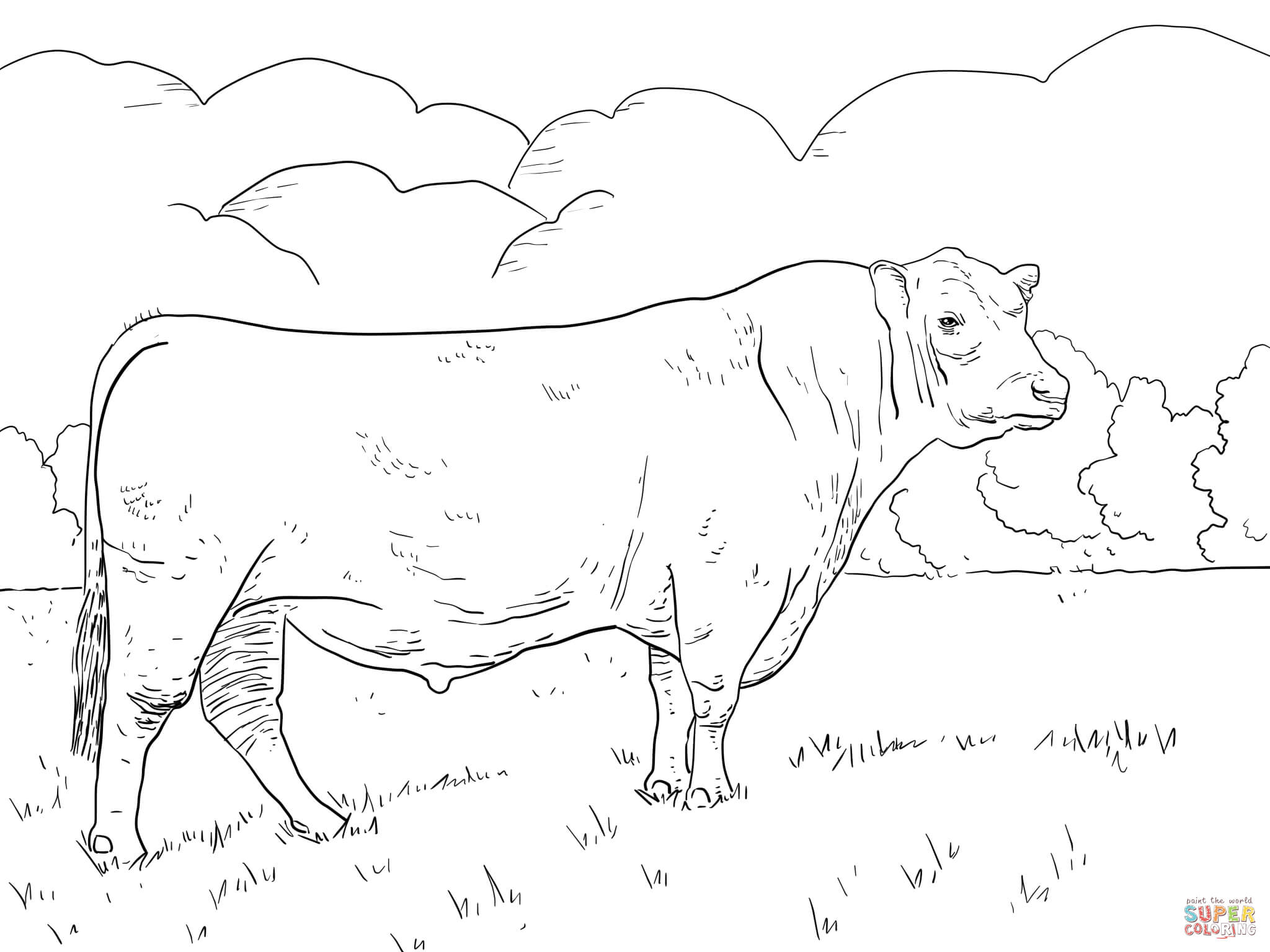 Longhorn Cattle coloring #8, Download drawings