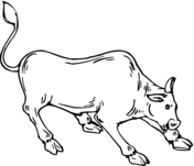 Brahman Bull coloring #9, Download drawings