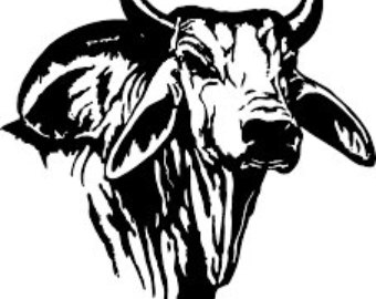 Brahman Bull svg #18, Download drawings
