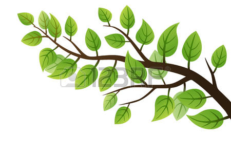 Branch clipart #5, Download drawings
