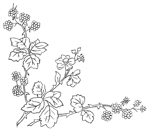Branch coloring #8, Download drawings