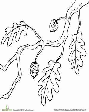 Branch coloring #20, Download drawings
