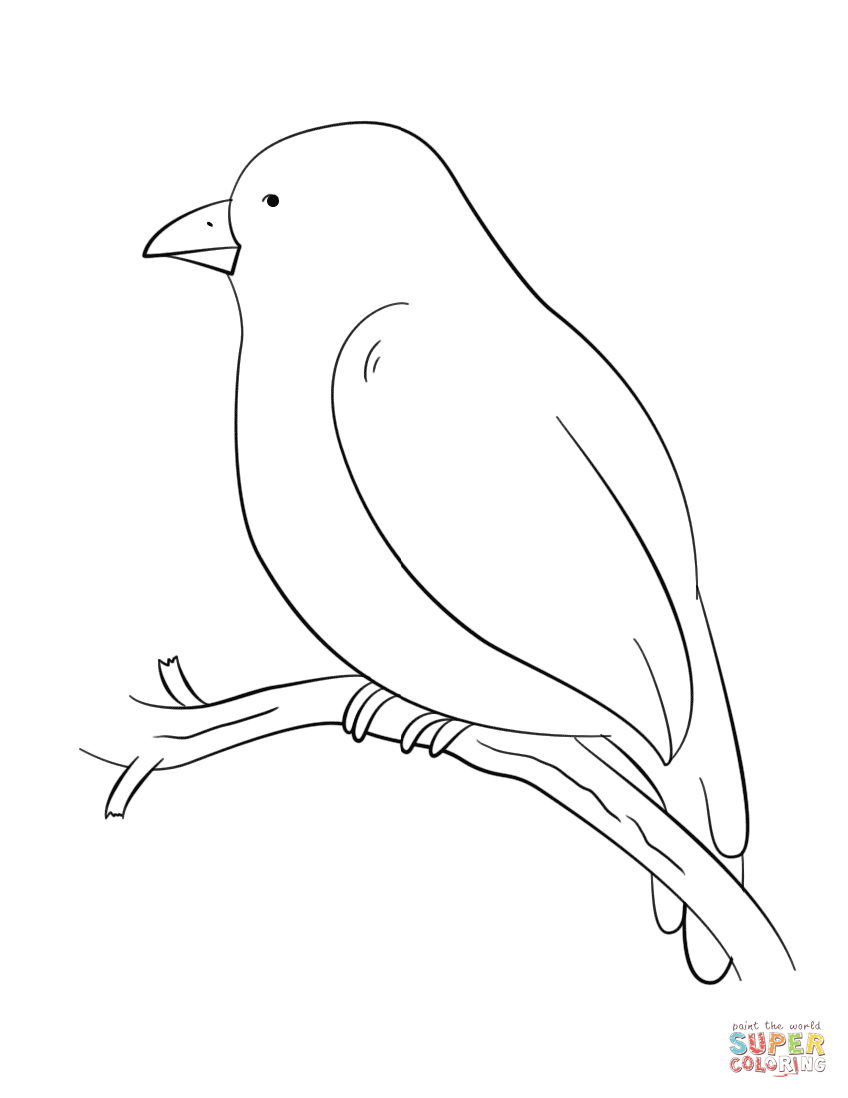 Branch coloring #2, Download drawings