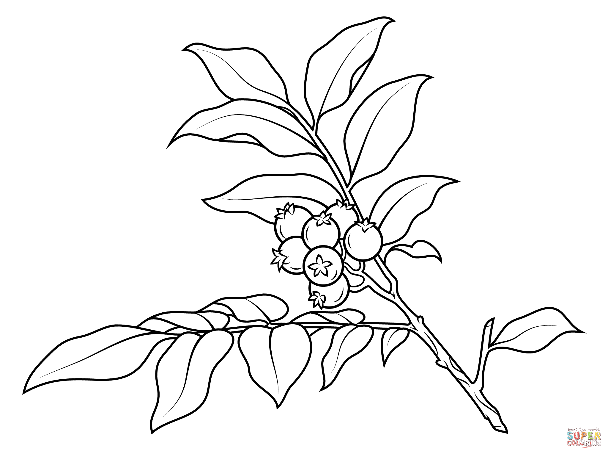 Branch coloring #1, Download drawings