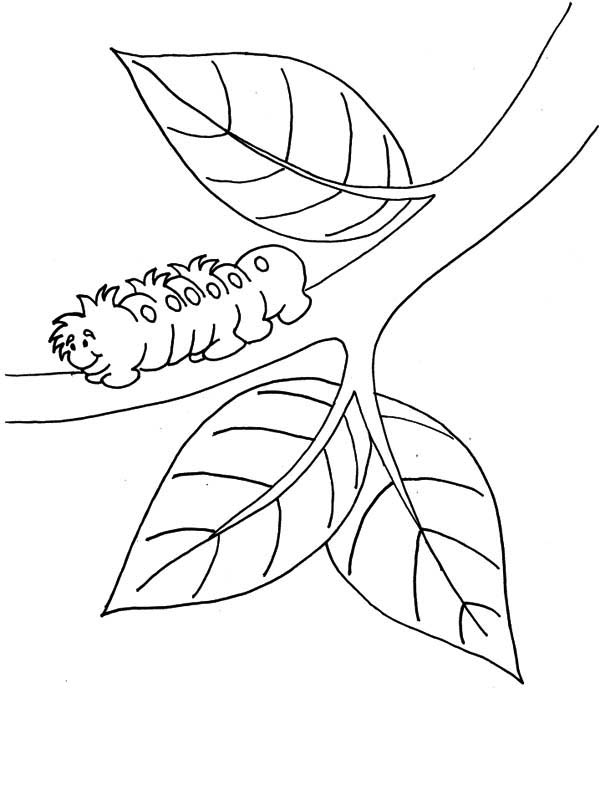 Branch coloring #19, Download drawings