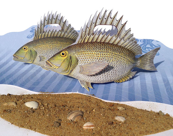 Bream svg #15, Download drawings