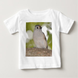 Bridled Titmouse clipart #4, Download drawings
